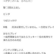 ヒメ日記 2025/01/01 20:30 投稿 カノン カワサキ EROTIC