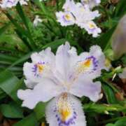 ヒメ日記 2025/04/12 12:04 投稿 カノン カワサキ EROTIC