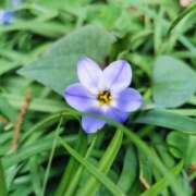 ヒメ日記 2025/04/27 15:30 投稿 カノン カワサキ EROTIC