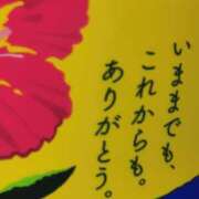 ヒメ日記 2025/06/13 07:56 投稿 カノン カワサキ EROTIC