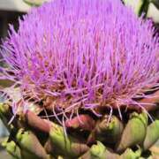 ヒメ日記 2025/06/14 08:15 投稿 カノン カワサキ EROTIC