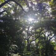 ヒメ日記 2025/06/20 11:30 投稿 カノン カワサキ EROTIC