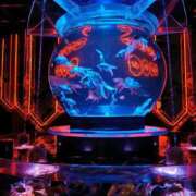 ヒメ日記 2025/07/07 21:01 投稿 カノン カワサキ EROTIC