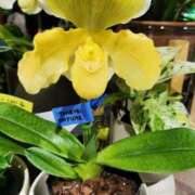 ヒメ日記 2025/07/16 10:30 投稿 カノン カワサキ EROTIC