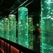 ヒメ日記 2025/07/18 21:03 投稿 カノン カワサキ EROTIC