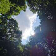 ヒメ日記 2025/07/23 16:01 投稿 カノン カワサキ EROTIC