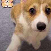 ヒメ日記 2025/08/22 07:45 投稿 カノン カワサキ EROTIC