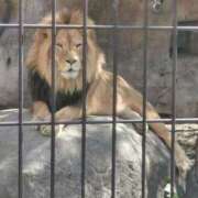 ヒメ日記 2025/09/25 19:31 投稿 カノン カワサキ EROTIC