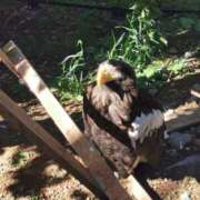 ヒメ日記 2025/09/29 08:15 投稿 カノン カワサキ EROTIC