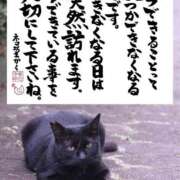 ヒメ日記 2025/09/29 11:45 投稿 カノン カワサキ EROTIC