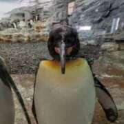 ヒメ日記 2025/10/02 14:21 投稿 カノン カワサキ EROTIC