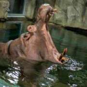 ヒメ日記 2025/10/05 11:01 投稿 カノン カワサキ EROTIC