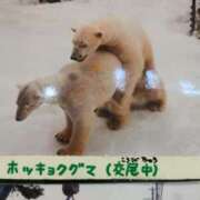 ヒメ日記 2025/10/07 18:15 投稿 カノン カワサキ EROTIC