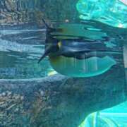 ヒメ日記 2025/10/14 11:45 投稿 カノン カワサキ EROTIC