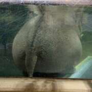 ヒメ日記 2025/10/14 13:00 投稿 カノン カワサキ EROTIC