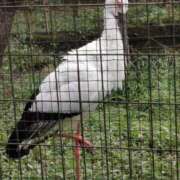 ヒメ日記 2025/11/04 15:30 投稿 カノン カワサキ EROTIC