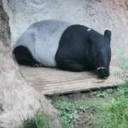 ヒメ日記 2025/11/04 22:00 投稿 カノン カワサキ EROTIC