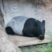 ヒメ日記 2025/11/05 18:31 投稿 カノン カワサキ EROTIC