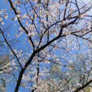 ヒメ日記 2026/04/03 14:01 投稿 カノン カワサキ EROTIC