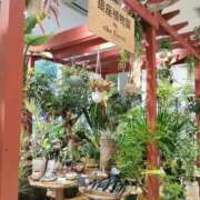 ヒメ日記 2026/05/06 08:02 投稿 カノン カワサキ EROTIC