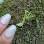 ヒメ日記 2026/08/07 21:03 投稿 カノン カワサキ EROTIC
