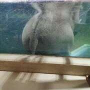 ヒメ日記 2026/08/21 07:07 投稿 カノン カワサキ EROTIC