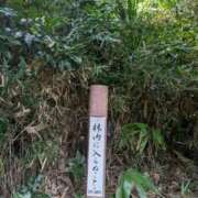 ヒメ日記 2026/09/03 08:31 投稿 カノン カワサキ EROTIC
