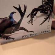ヒメ日記 2026/09/15 14:45 投稿 カノン カワサキ EROTIC