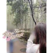 ヒメ日記 2025/03/23 16:17 投稿 いろは 京都デリヘル女学院