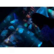 ヒメ日記 2025/03/17 16:55 投稿 いろは ゆるふわKISS