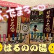 ヒメ日記 2023/12/29 14:50 投稿 はるの アネックスジャパン