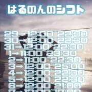 ヒメ日記 2025/01/23 20:42 投稿 はるの アネックスジャパン