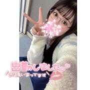 ヒメ日記 2025/04/01 12:09 投稿 はるの アネックスジャパン