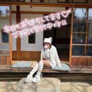 ヒメ日記 2025/04/02 12:29 投稿 はるの アネックスジャパン