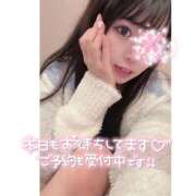 ヒメ日記 2025/04/03 18:19 投稿 はるの アネックスジャパン