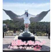 ヒメ日記 2025/04/05 11:09 投稿 はるの アネックスジャパン