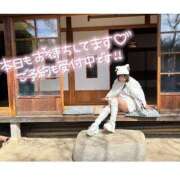 ヒメ日記 2025/04/25 14:04 投稿 はるの アネックスジャパン