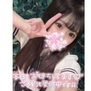 ヒメ日記 2025/05/01 11:39 投稿 はるの アネックスジャパン