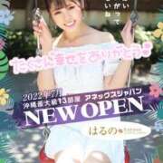 はるの はるのちゃんからの最後のラブレター アネックスジャパン