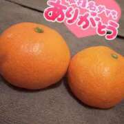 ヒメ日記 2025/12/27 16:09 投稿 れおな アネックスジャパン