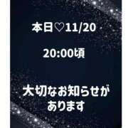 ヒメ日記 2024/11/20 06:19 投稿 さくら アネックスジャパン