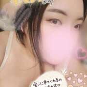 ヒメ日記 2025/11/22 13:39 投稿 建山 鶯谷デッドボール