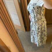 ヒメ日記 2025/07/01 09:49 投稿 しおり 石川小松ちゃんこ