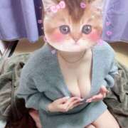 ヒメ日記 2026/03/25 09:22 投稿 しおり 石川小松ちゃんこ