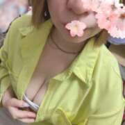 ヒメ日記 2026/04/02 12:42 投稿 しおり 石川小松ちゃんこ