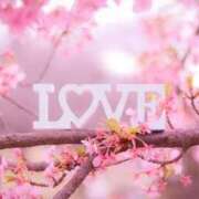 ヒメ日記 2026/04/06 01:12 投稿 しおり 石川小松ちゃんこ