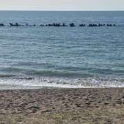 ヒメ日記 2026/04/14 01:02 投稿 しおり 石川小松ちゃんこ