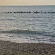 ヒメ日記 2026/04/18 02:42 投稿 しおり 石川小松ちゃんこ