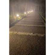 ヒメ日記 2026/04/20 21:12 投稿 しおり 石川小松ちゃんこ