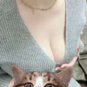 ヒメ日記 2026/04/21 22:22 投稿 しおり 石川小松ちゃんこ